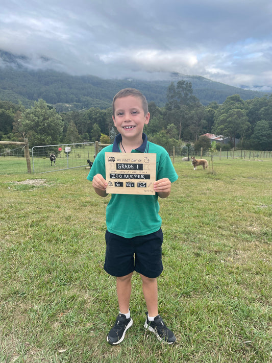 My First Day Boards image 1