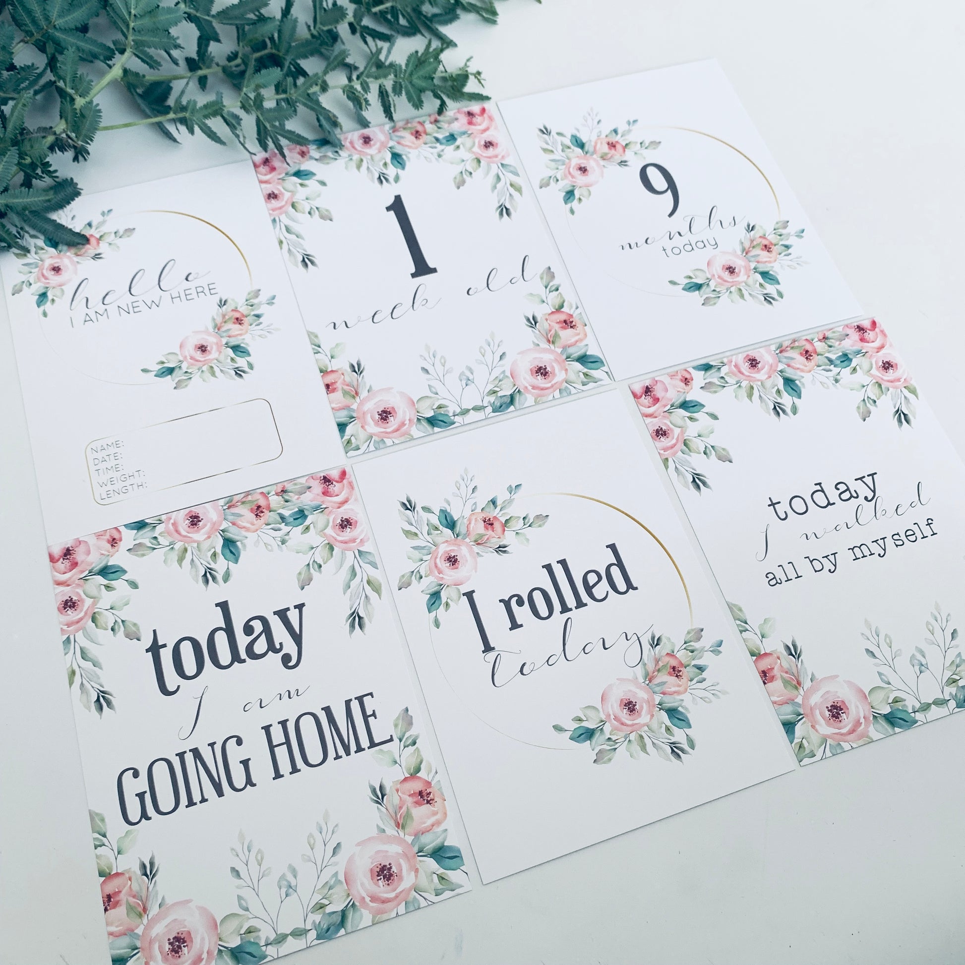 Pregnancy & Baby Milestone Cards- set of 29 cards image 2