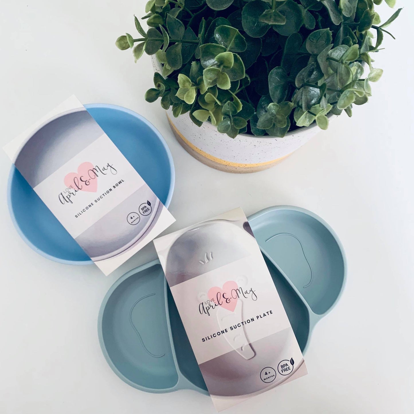 Elephant Silicone Suction Plate