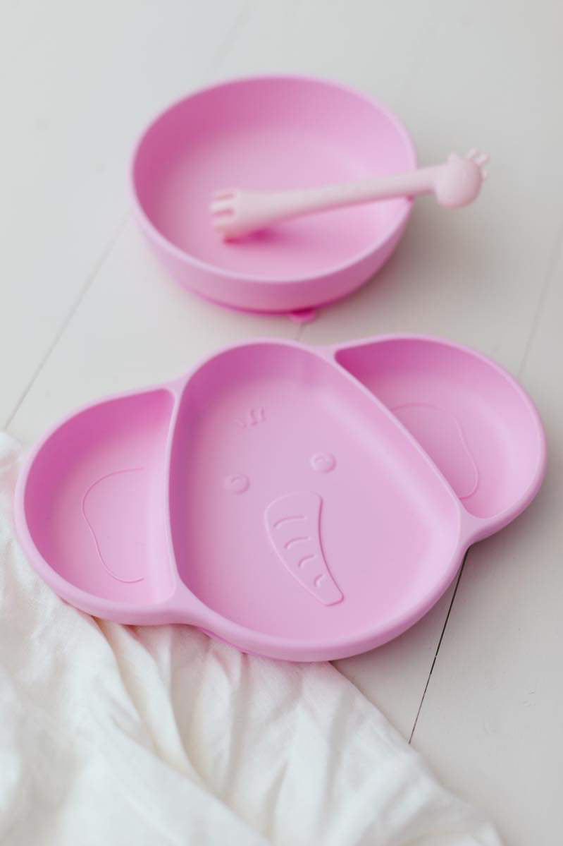 Silicone Suction Bowl