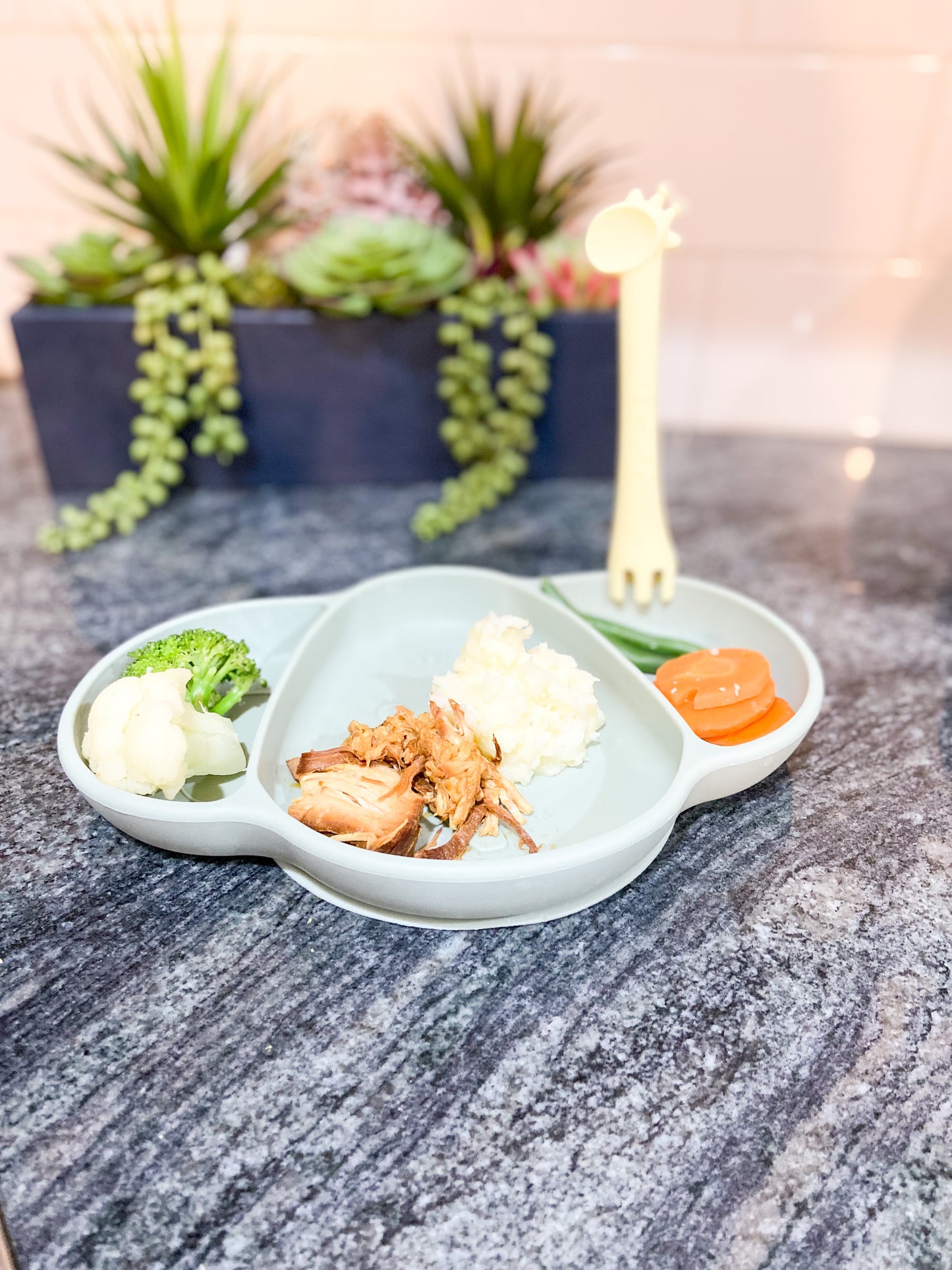 Elephant Silicone Suction Plate