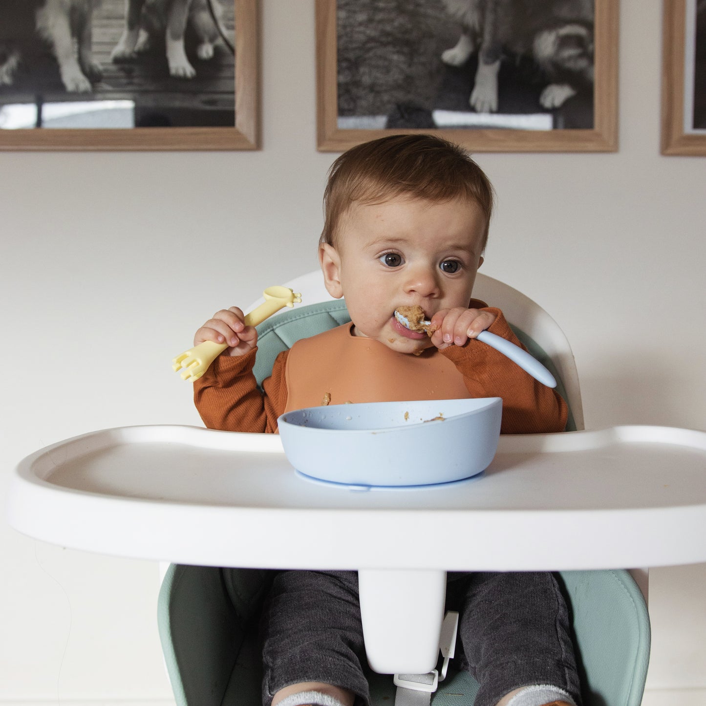 Silicone Suction Bowl