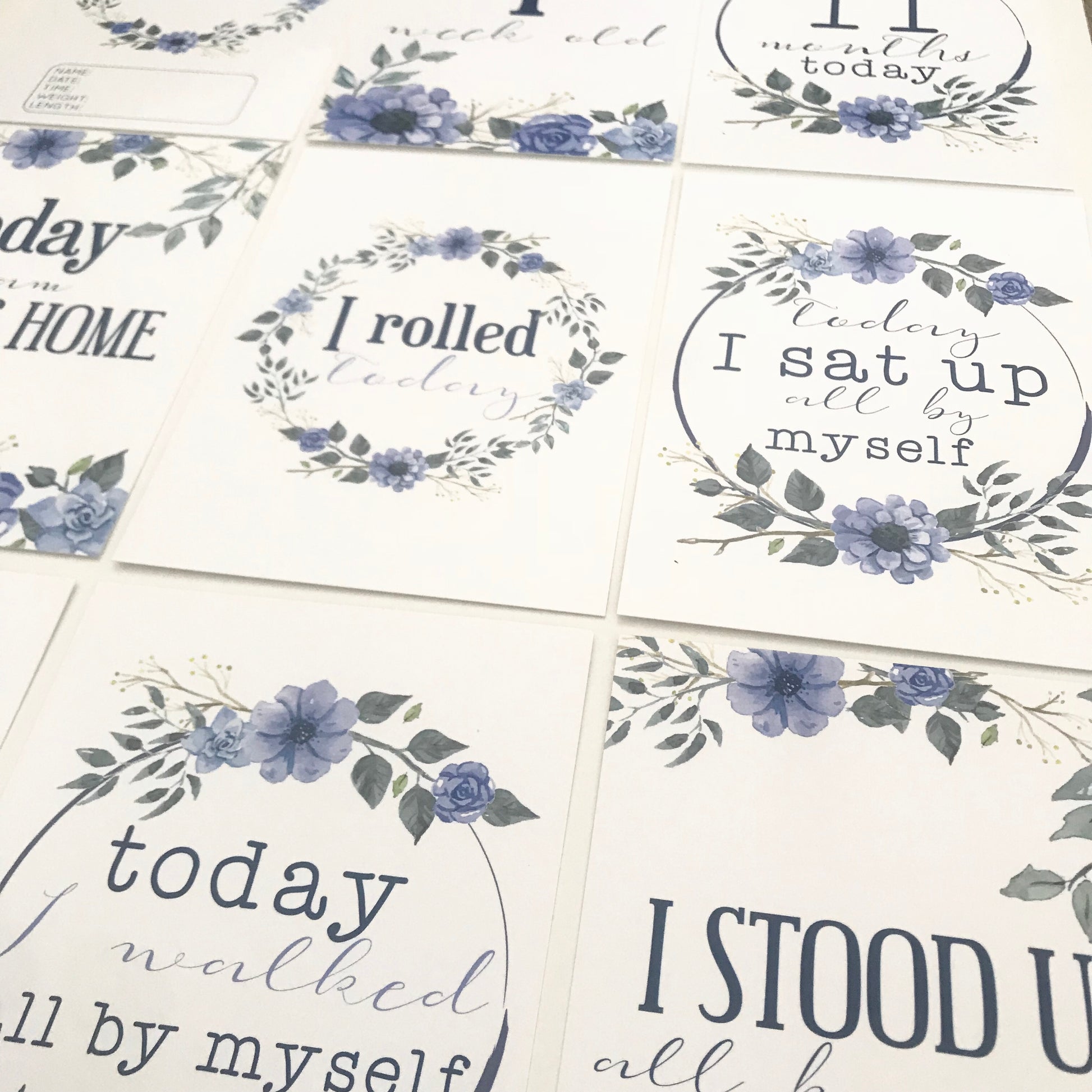 Pregnancy & Baby Milestone Cards- set of 29 cards - Baby- Blue Floral Wreath image